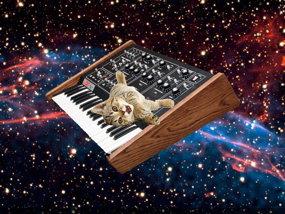 cosmiccatUSE