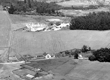 UCSC Campus 1955