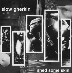 Slow Gherkin